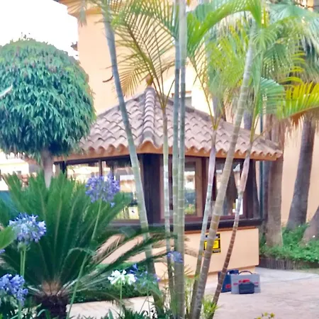 Appartement - Alicate Beachfront - 6